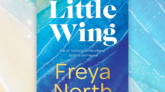 Little Wing by Freya North