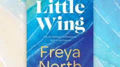 Little Wing by Freya North