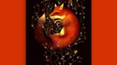 Vixen copy
