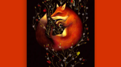 Vixen copy